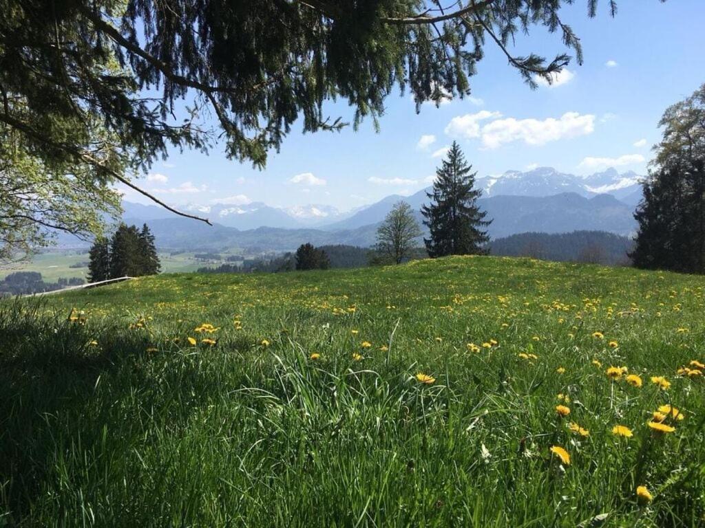 Alpenblick Comfortable